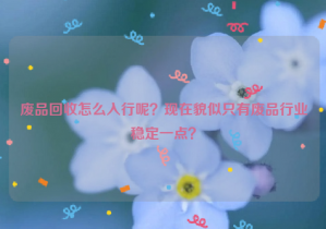 廢品回收怎么入行呢？現(xiàn)在貌似只有廢品行業(yè)穩(wěn)定一點(diǎn)？