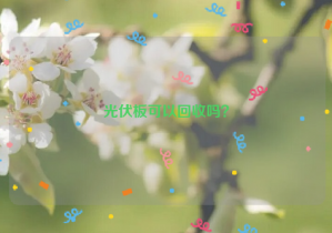 光伏板可以回收嗎？