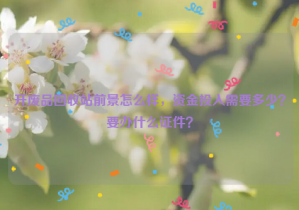開廢品回收站前景怎么樣，資金投入需要多少？要辦什么證件？