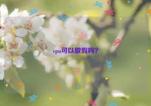 cpu可以做假嗎？