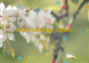 廢品回收價(jià)格怎么看？在哪里看？