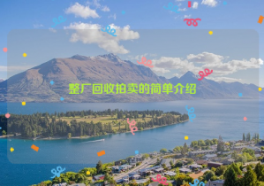 整廠回收拍賣的簡單介紹