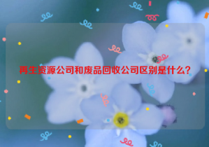 再生資源公司和廢品回收公司區(qū)別是什么？