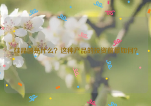 硅晶圓是什么？這種產(chǎn)品的投資前景如何？