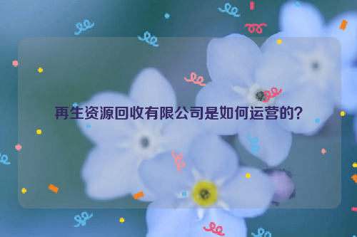 再生資源回收有限公司是如何運營的？