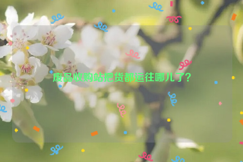 廢品收購站把貨都運(yùn)往哪兒了？