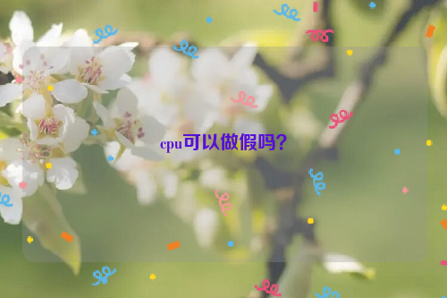 cpu可以做假嗎？